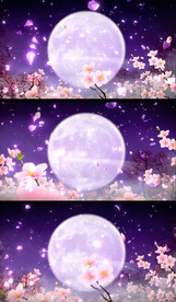 花瓣飘逸大月亮唯美古典视频素材