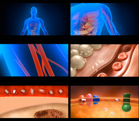 人体血管新陈代谢医学视频素材