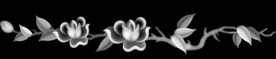 月季花抽斗灰度精雕图