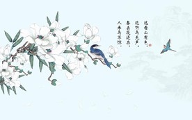 清新时尚玉兰花电视背景墙