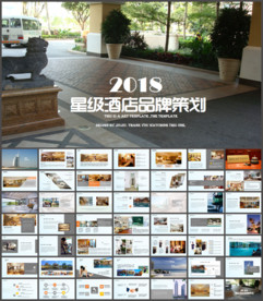 高端酒店介绍营销商业计划书模板