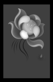 荷花46牌精雕浮雕灰度