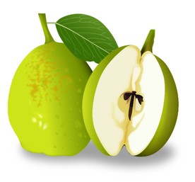 高清梨矢量图片