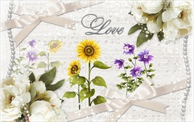 温馨花卉装饰画背景墙