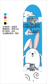 滑板 双翘板 大鱼板 小鱼板