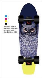 滑板 双翘板 大鱼板 小鱼板