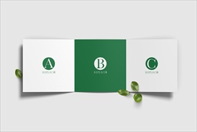 三折页画册展示样机