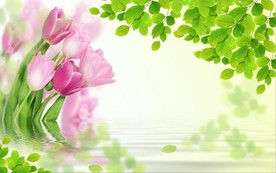 现代简约花卉电视背景墙