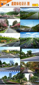园林道路绿化设计