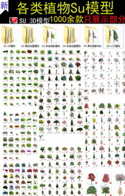 真实植物素材SU模型
