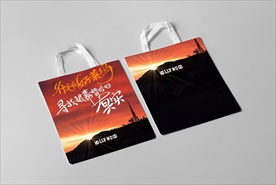 通用高档手提袋展示样机效果图