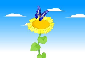 好看的蝴蝶绕花朵飞舞10秒