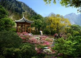 园林景观 住宅景观 园林效果图