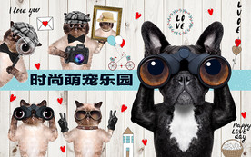 时尚萌宠宠物店背景墙