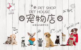 宠物店背景墙
