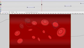 病毒感染红细胞的动画15秒
