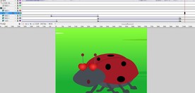 小瓢虫的故事1分钟动画