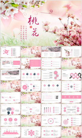 小清新总结汇报PPT