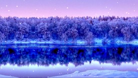 冰雪湖面雪粒树林(有音乐)