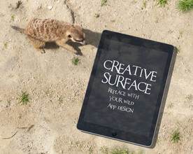 平板电脑智能样机图片