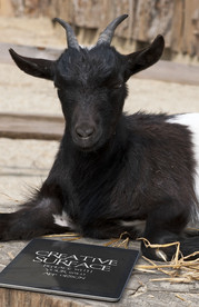 平板电脑智能样机图片