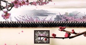 中国风古院墙院子桃花梅花