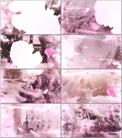 水墨彩色花瓣烂漫婚礼相册