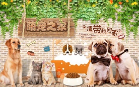 时尚宠物背景墙