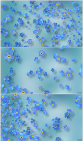 高清唯美浪漫花瓣飘落婚礼背景