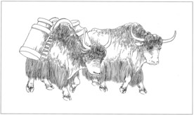 耗牛白描素描线描国画