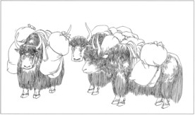 耗牛白描素描线描国画