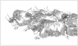 耗牛白描素描线描国画