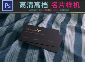 特种纸奢华大气名片样机