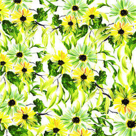 向日葵花卉 黄色花卉 菊花图案