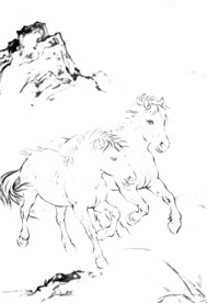 骏马 素描 白描 线描 国画稿