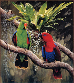 手绘热带雨林鹦鹉