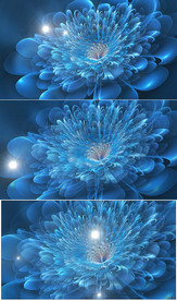 梦幻唯美浪漫花朵绽放视频背景