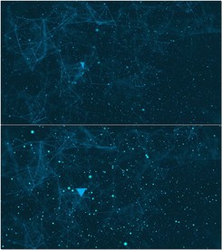Plexus线条动态背景视频