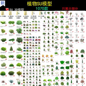 园林树木SU模型