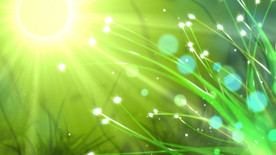 青春阳光绿色植物生长