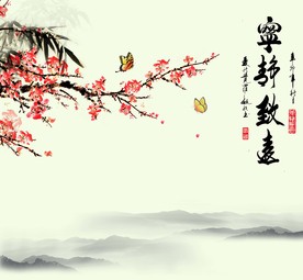 宁静致远背景墙