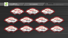 移风易俗 新家村建设