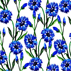 蓝色花 花草 花卉 小花 春天