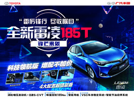 雷凌双擎185T单页海报