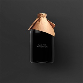 高档通用VI信封样机图片