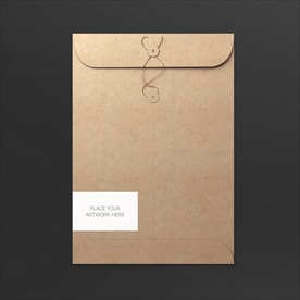 牛皮纸档案文件袋展示样机图片