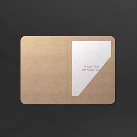 高档通用完整VI样机图片