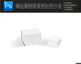 男士领带手表盒样机