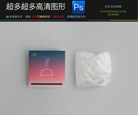 高档通用VI丝绵包装样机图片