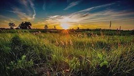 美丽的草原我的家lED背景视频